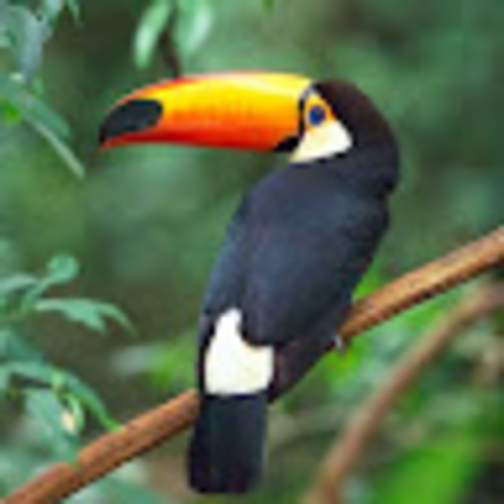 Meet your Posher, Clarissa